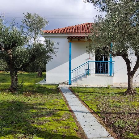 Coral Villas Κόμποι Εξωτερικό φωτογραφία