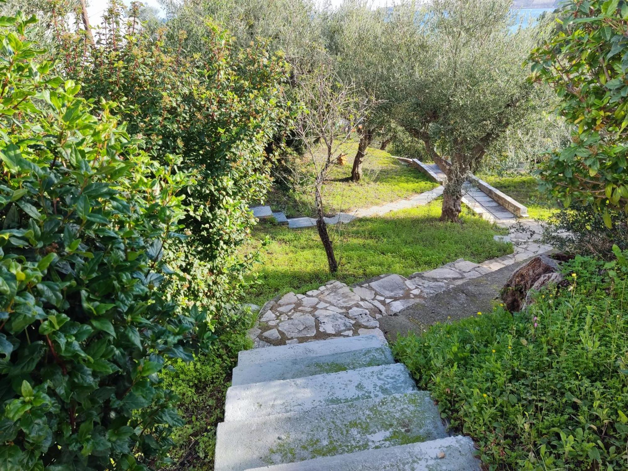 Coral Villas Κόμποι Εξωτερικό φωτογραφία